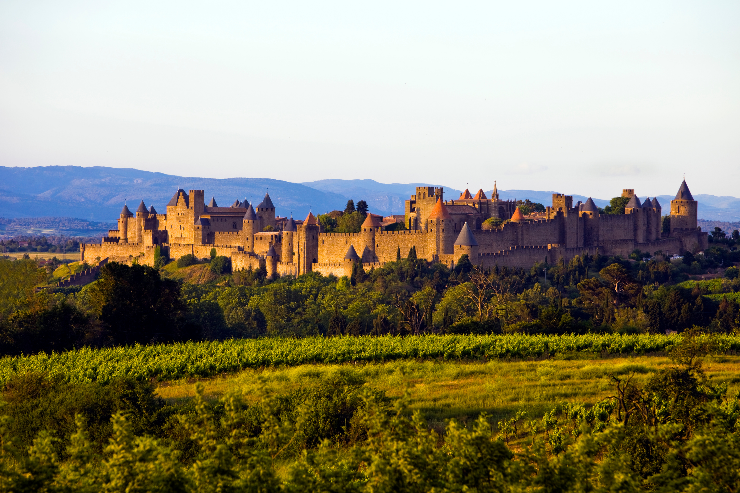16 carcassonne.webp